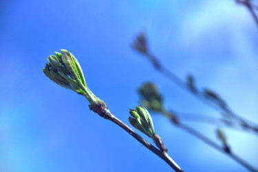 Similar image 22125759