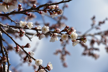 Similar image 22125760