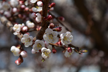 Similar image 22125761