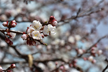 Similar image 22125762