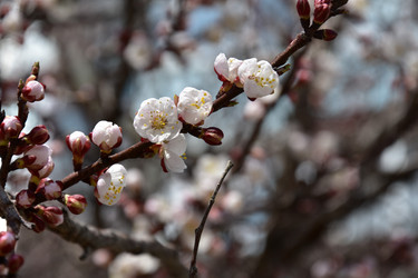 Similar image 22125763