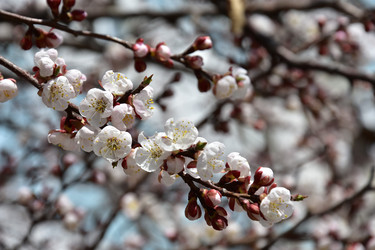 Similar image 22125764