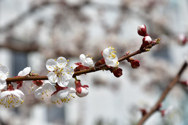 Similar image 22125766