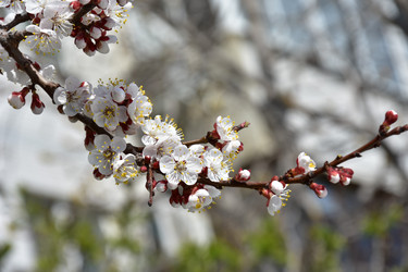 Similar image 22125767