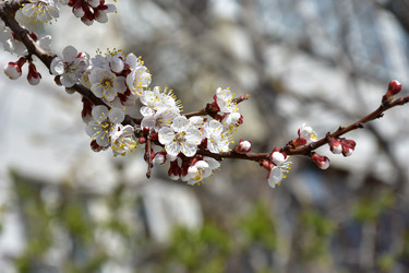 Similar image 22125768