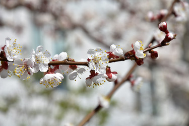 Similar image 22125769