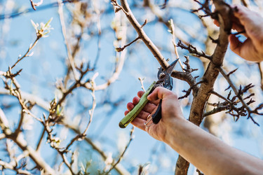 Similar image 22126618