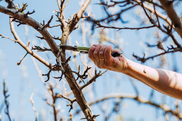 Similar image 22126622