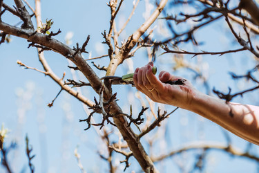 Similar image 22126623