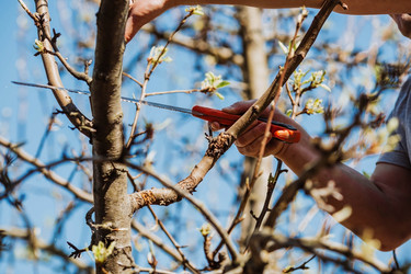 Similar image 22126624