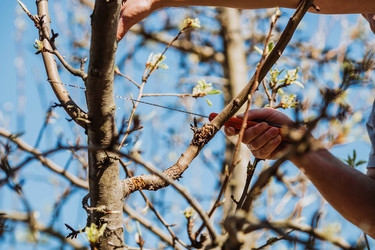 Similar image 22126656