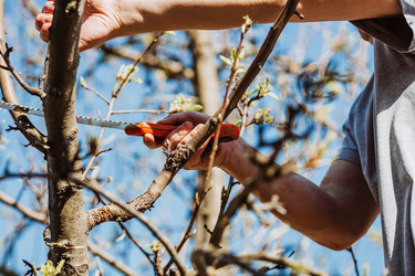 Similar image 22126657