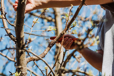 Similar image 22126658