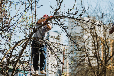 Similar image 22126660