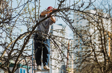 Similar image 22126661