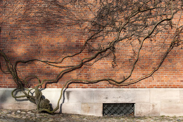 Similar image 22126147