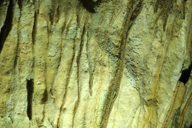 Similar image 22126183