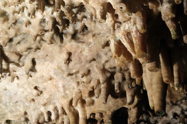 Similar image 22126185