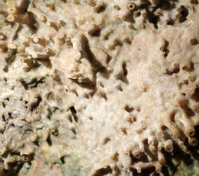 Similar image 22126190