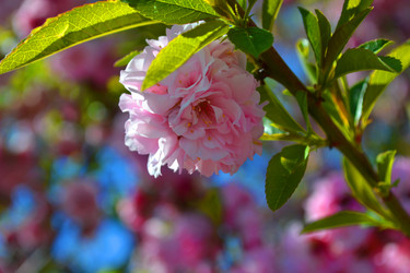 Similar image 22125720