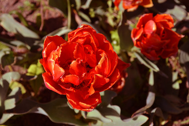 Similar image 22125721