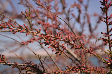 Similar image 22125790