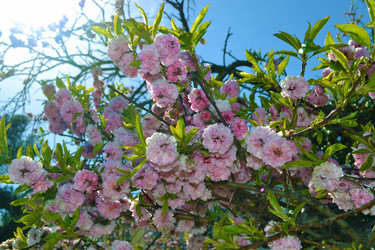 Similar image 22125791