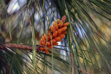 Similar image 22125792