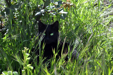 Similar image 22125795