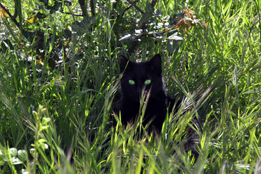 Similar image 22125796