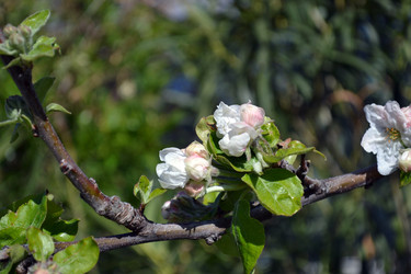 Similar image 22125799