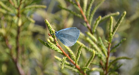 Similar image 22125800