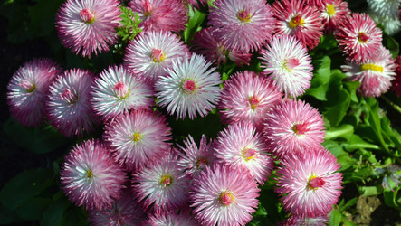 Similar image 22125804