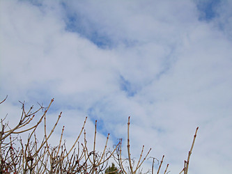 Similar image 22126785