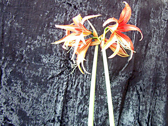 Similar image 22126786