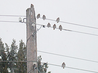 Similar image 22126787