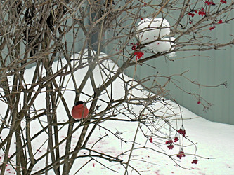 Similar image 22126790