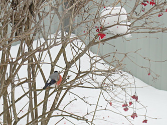 Similar image 22126792