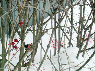 Similar image 22126793