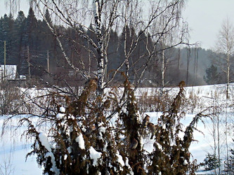 Similar image 22126798