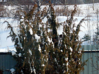 Similar image 22126799