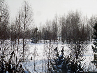 Similar image 22126800