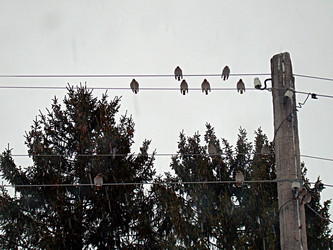 Similar image 22126802