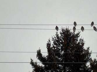 Similar image 22126803