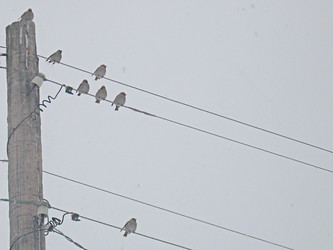 Similar image 22126804