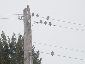 Similar image 22126805