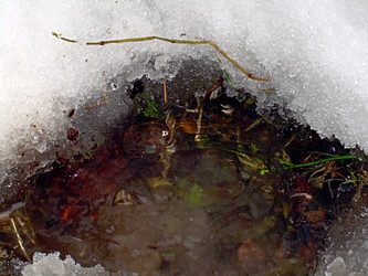 Similar image 22126813