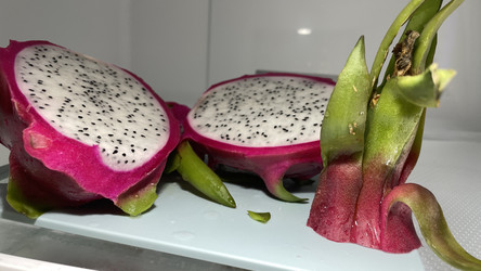 Similar image 22126466