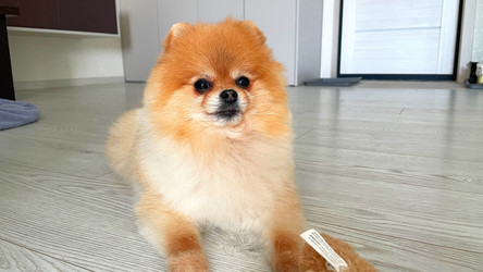 Similar image 22126468