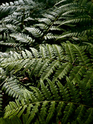 Similar image 22126452